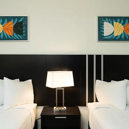 Oasis Bay Suites, Tampa, Busch Gardens, Usf Extérieur photo