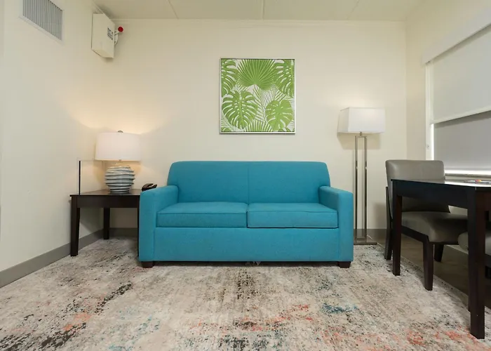 Oasis Bay Suites, Tampa, Busch Gardens, Usf