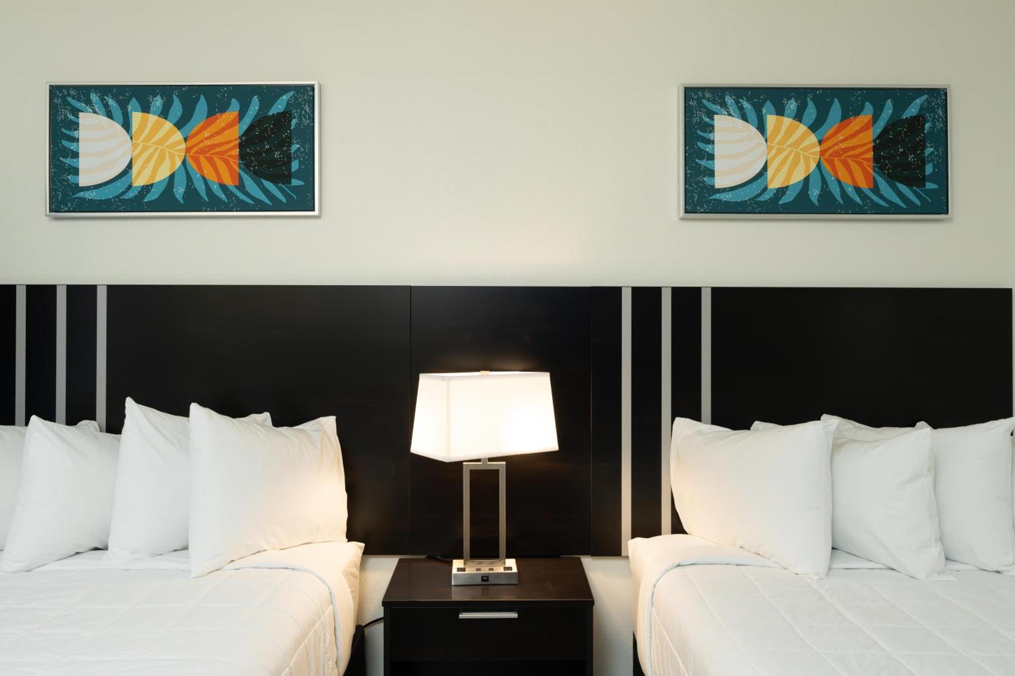 Oasis Bay Suites, Tampa, Busch Gardens, Usf Hotel Tampa