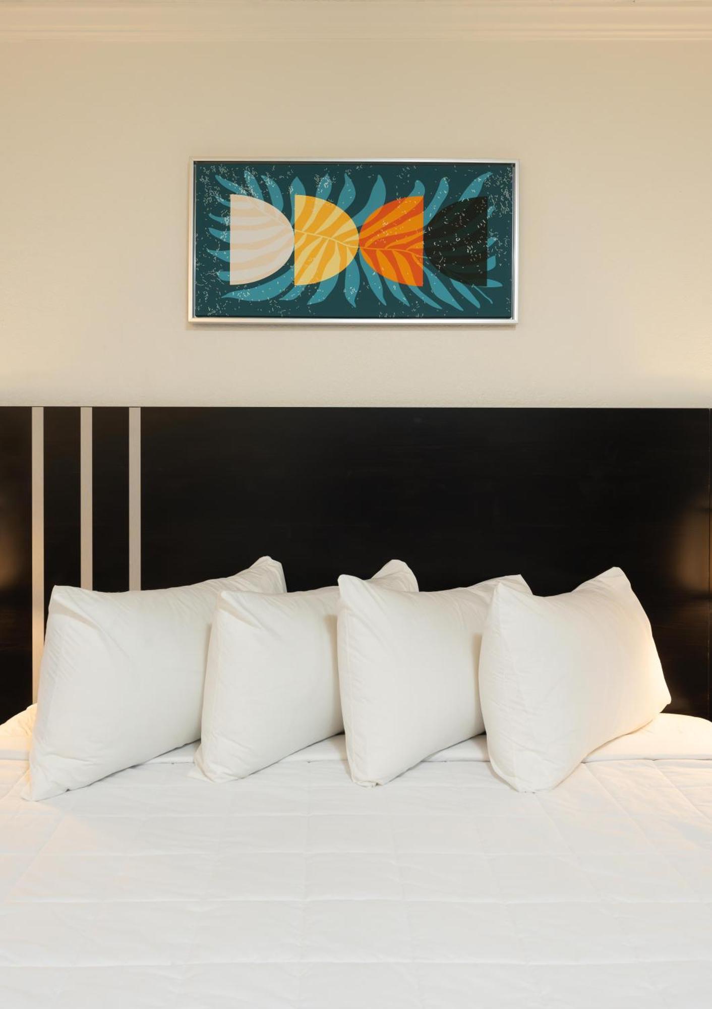 Oasis Bay Suites, Tampa, Busch Gardens, Usf