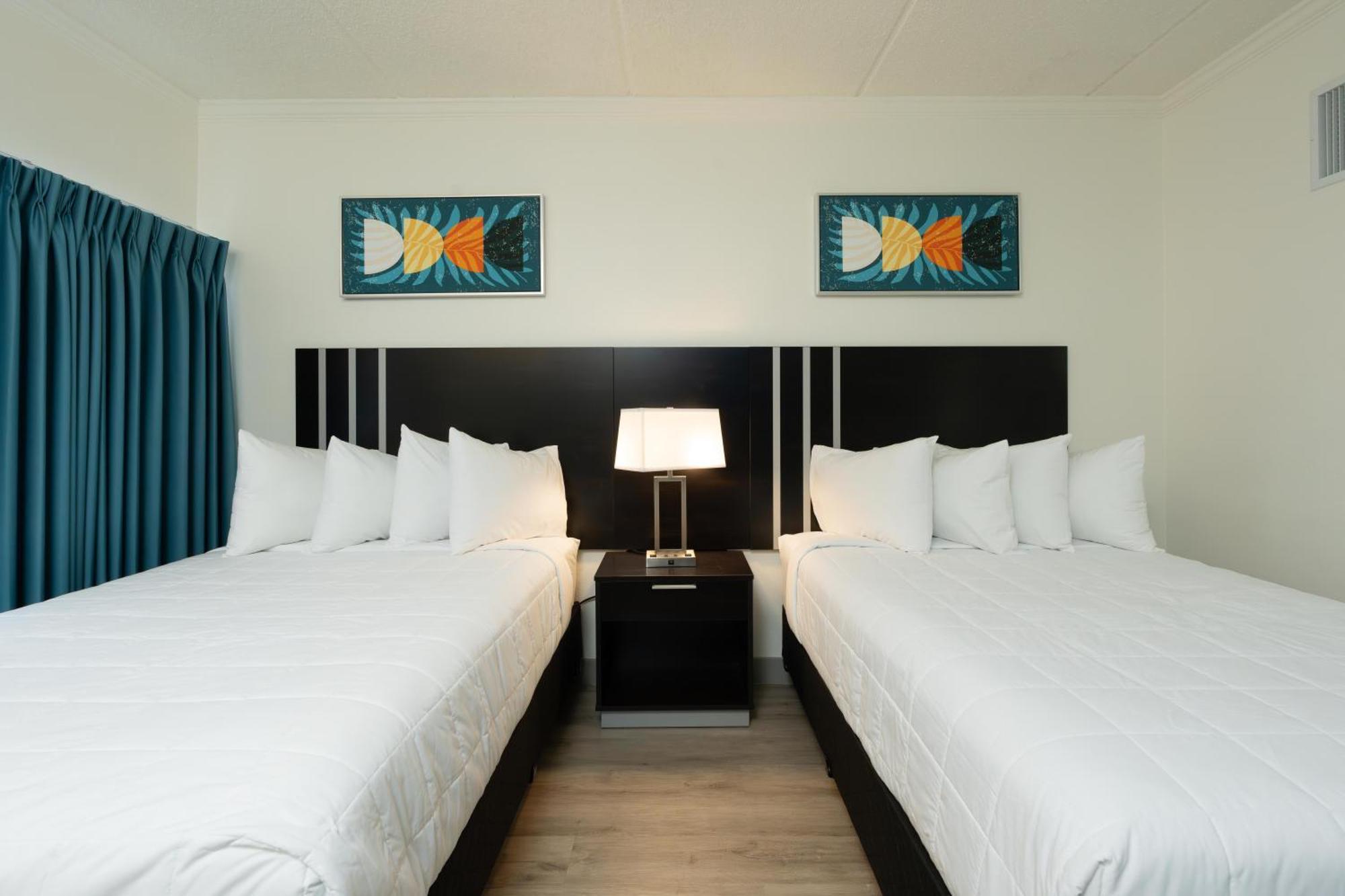 Oasis Bay Suites, Tampa, Busch Gardens, Usf Hotel