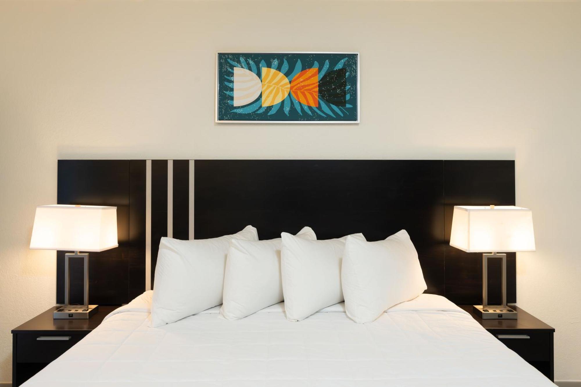 Hotel Oasis Bay Suites, Tampa, Busch Gardens, Usf