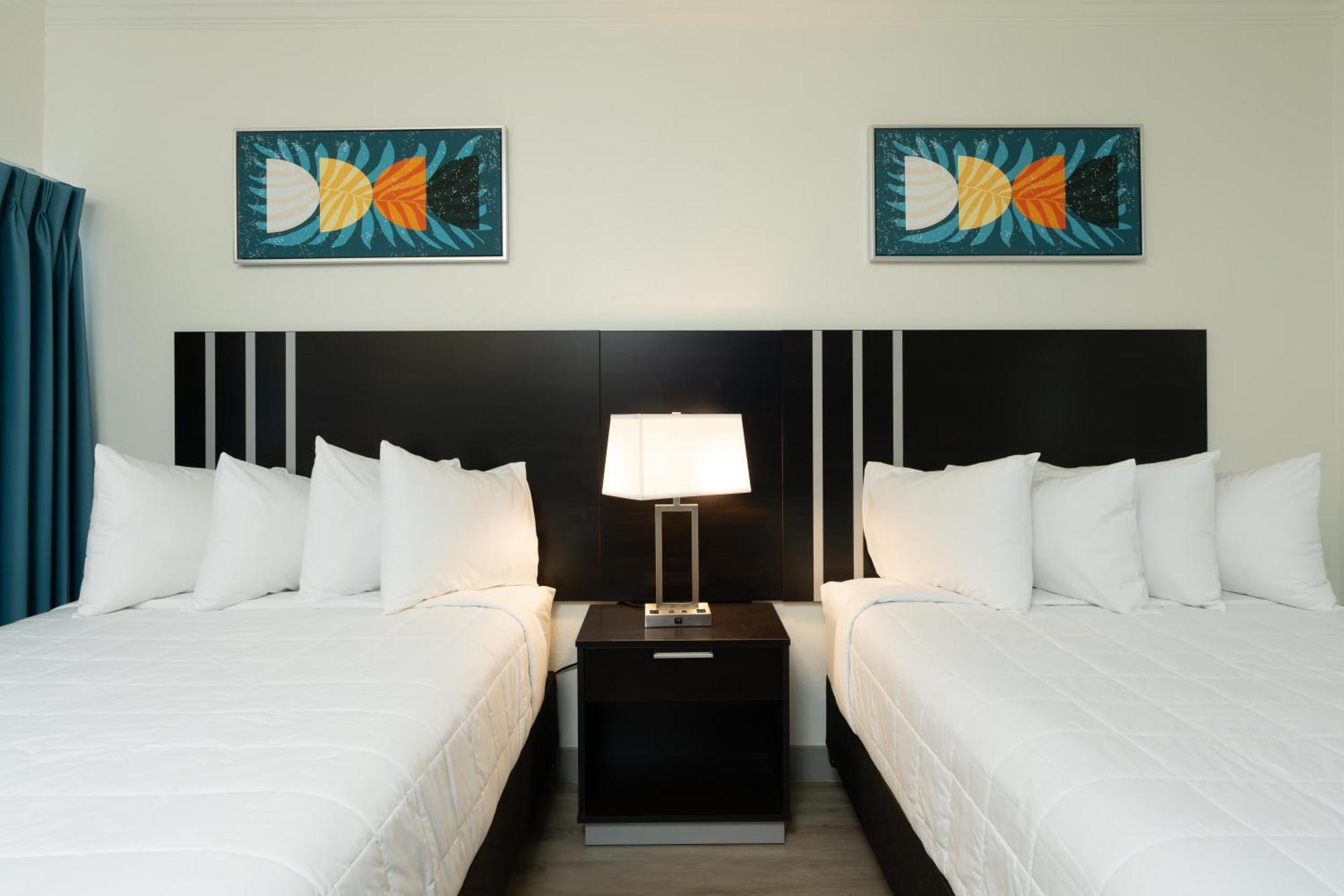 Oasis Bay Suites, Tampa, Busch Gardens, Usf Tampa