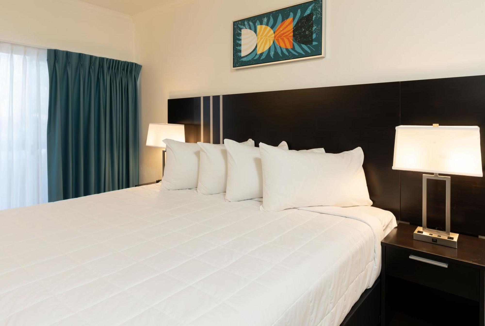 Oasis Bay Suites, Tampa, Busch Gardens, Usf