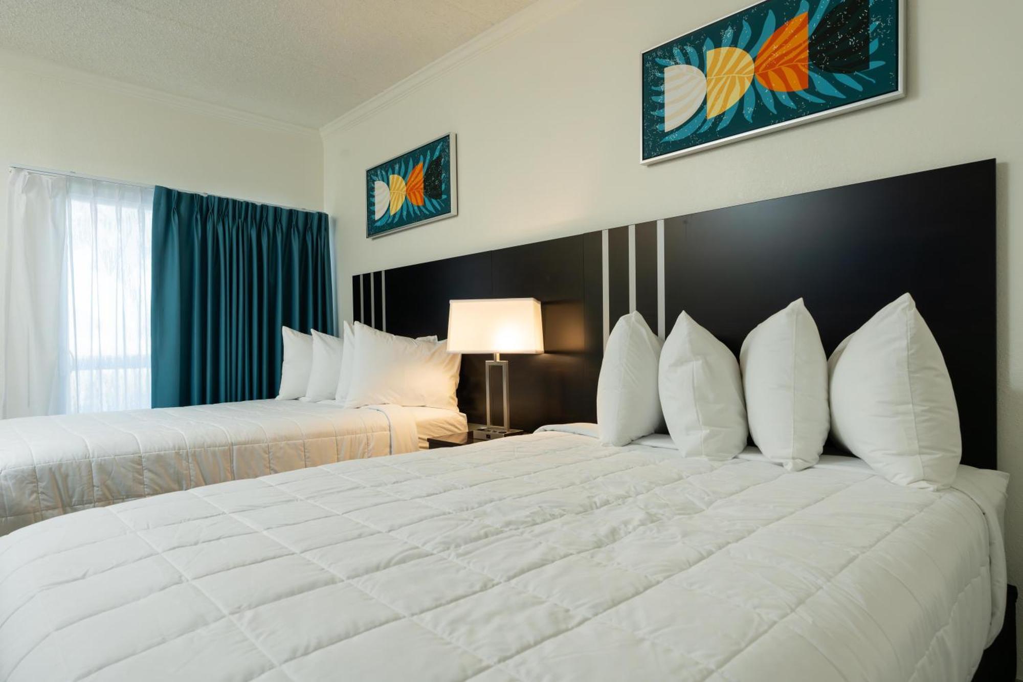 Hotel Oasis Bay Suites, Tampa, Busch Gardens, Usf Tampa