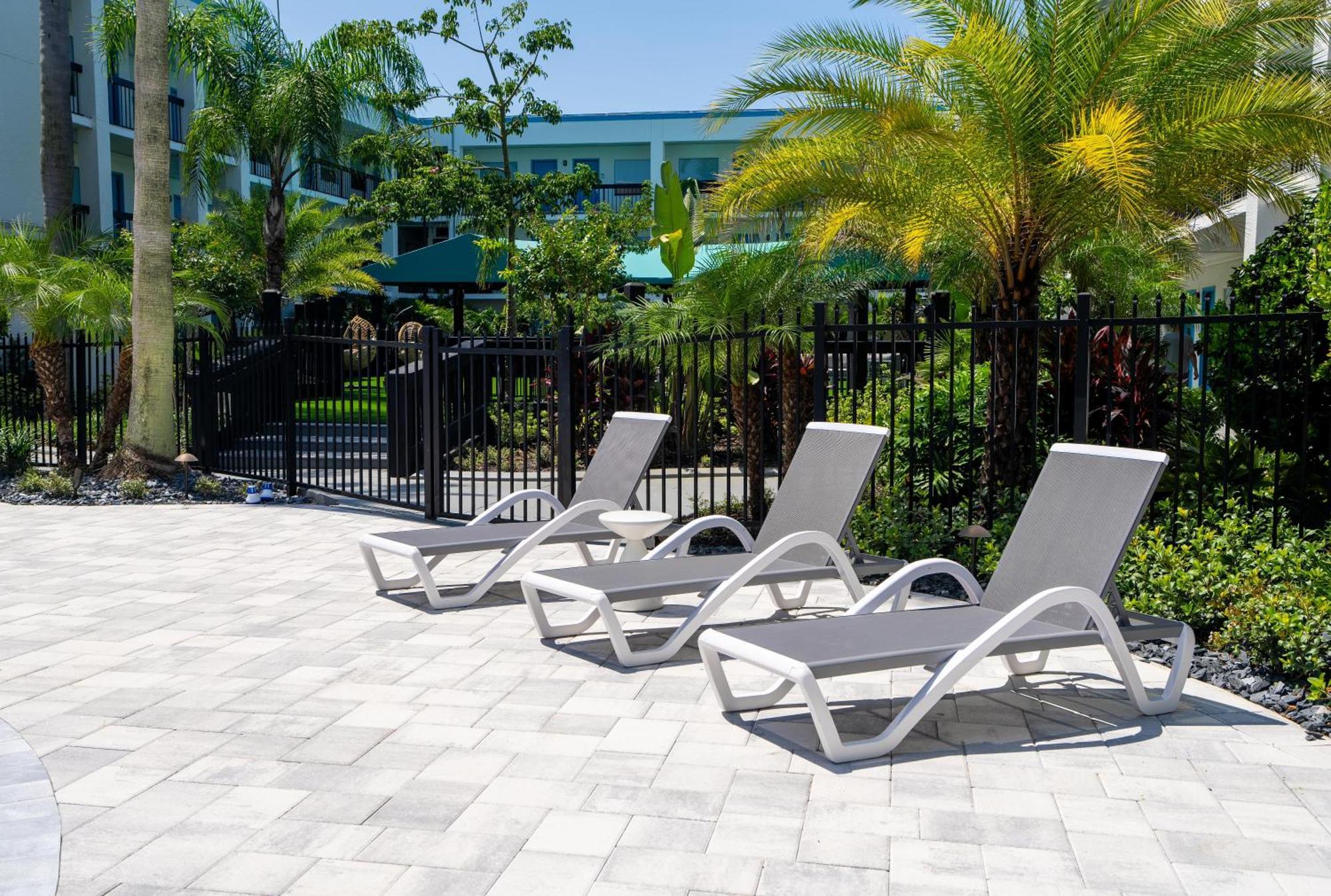Oasis Bay Suites, Tampa, Busch Gardens, Usf Hotel Tampa